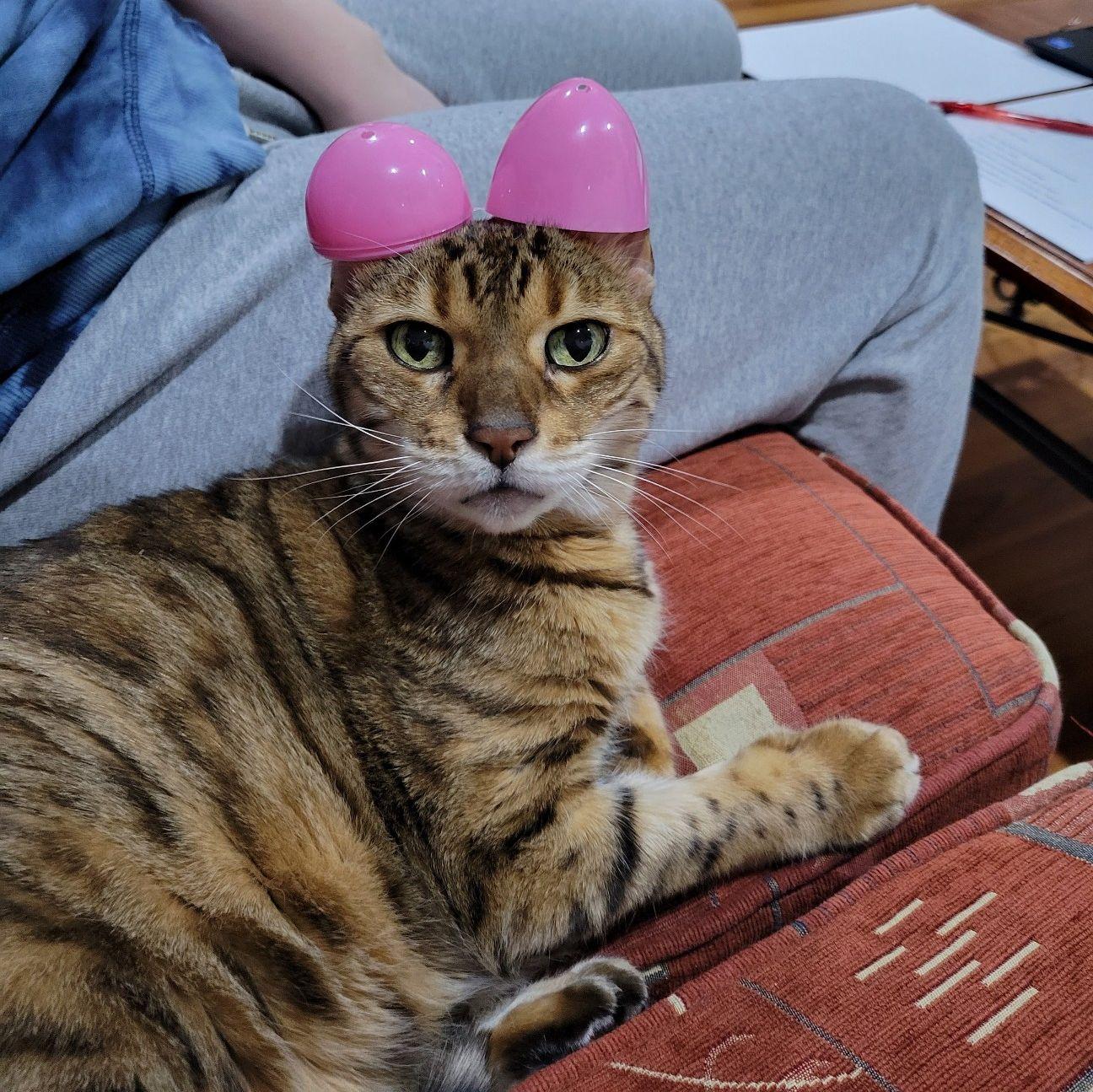 Fenton