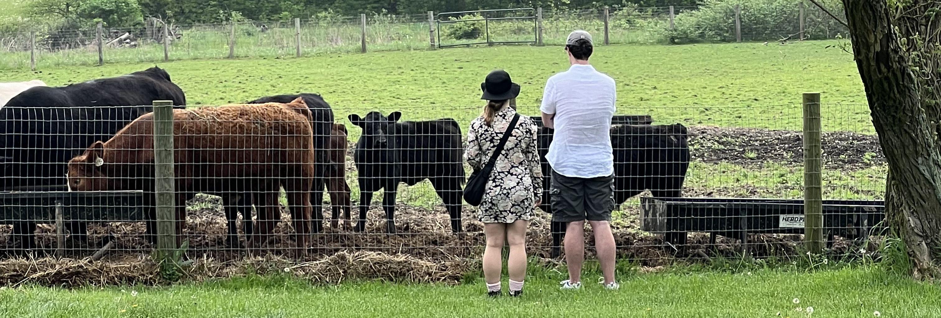 The Wedding Website of Alexandra Sherer and Doug MacDowell