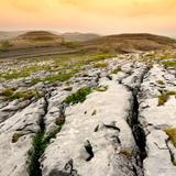 Burren