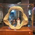 North Carolina Museum of Natural Sciences