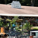 Auntie El's Farm Market