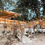 Sea Shed Restaurant