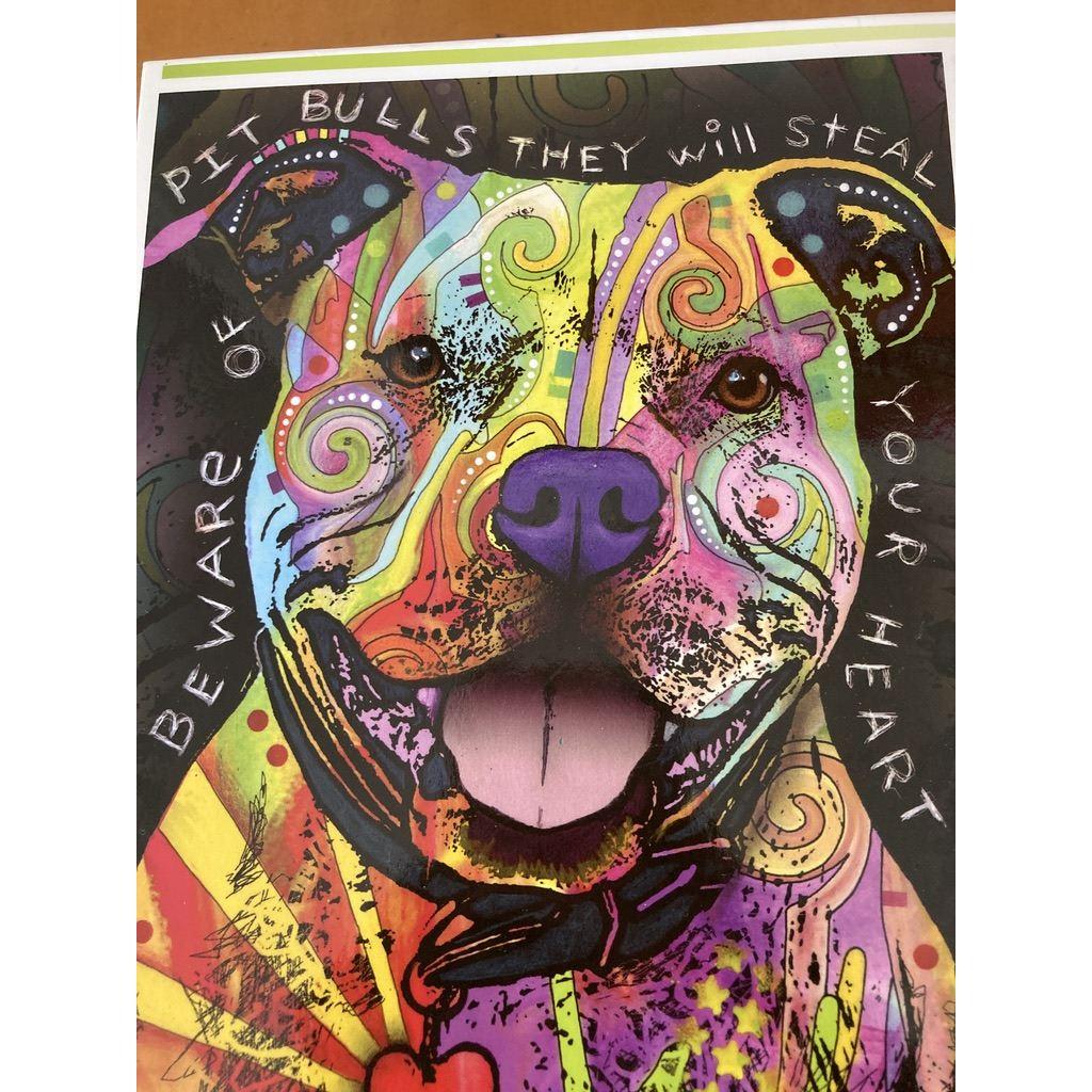A pitbull but not a Pitbull 