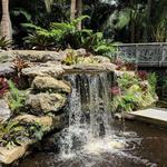 Mounts Botanical Garden