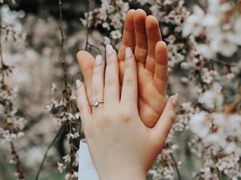 The Wedding Website of Madison Bellmore and Mark Otton Jr.