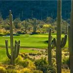 The Golf Club at Dove Mountain