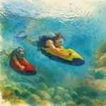 Antilla Shipwreck Sea-bobbing