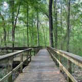 Cypress Grove Nature Park