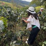 Tour del Cafe @ Finca del Cafe