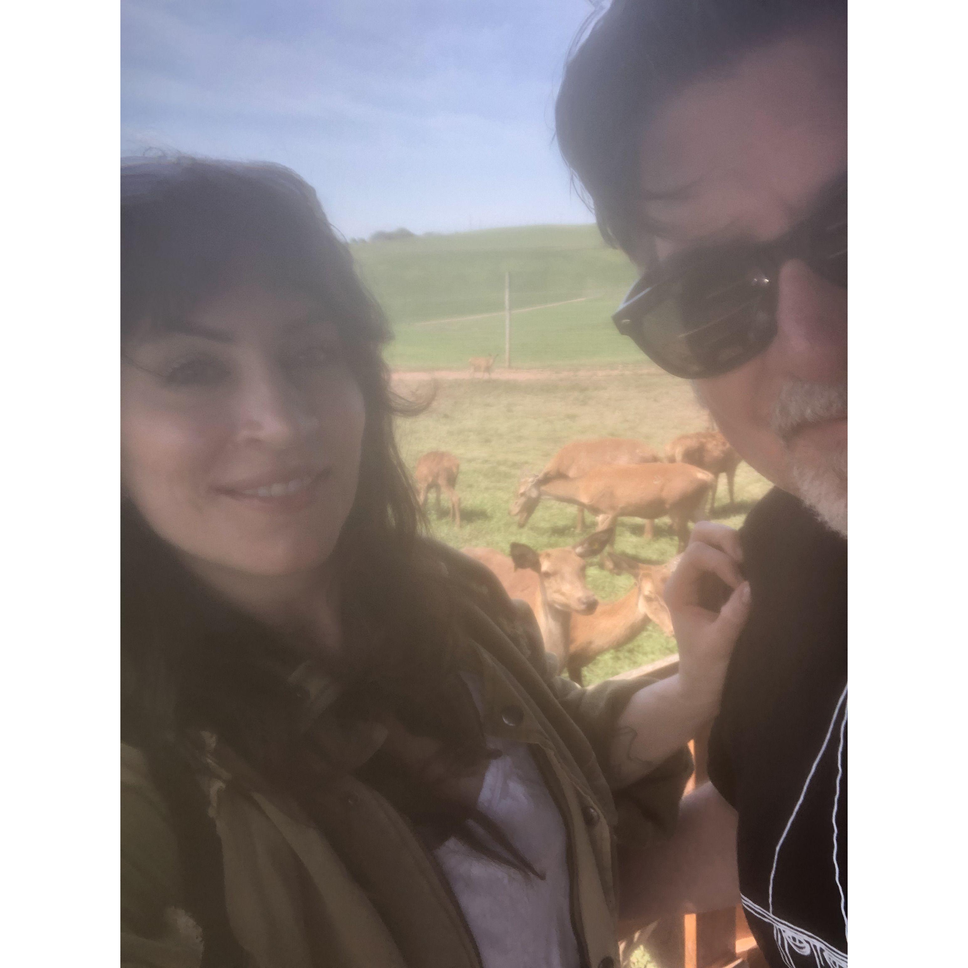 Feeding the deer. Engagement Trip in Ringtown, August 2023