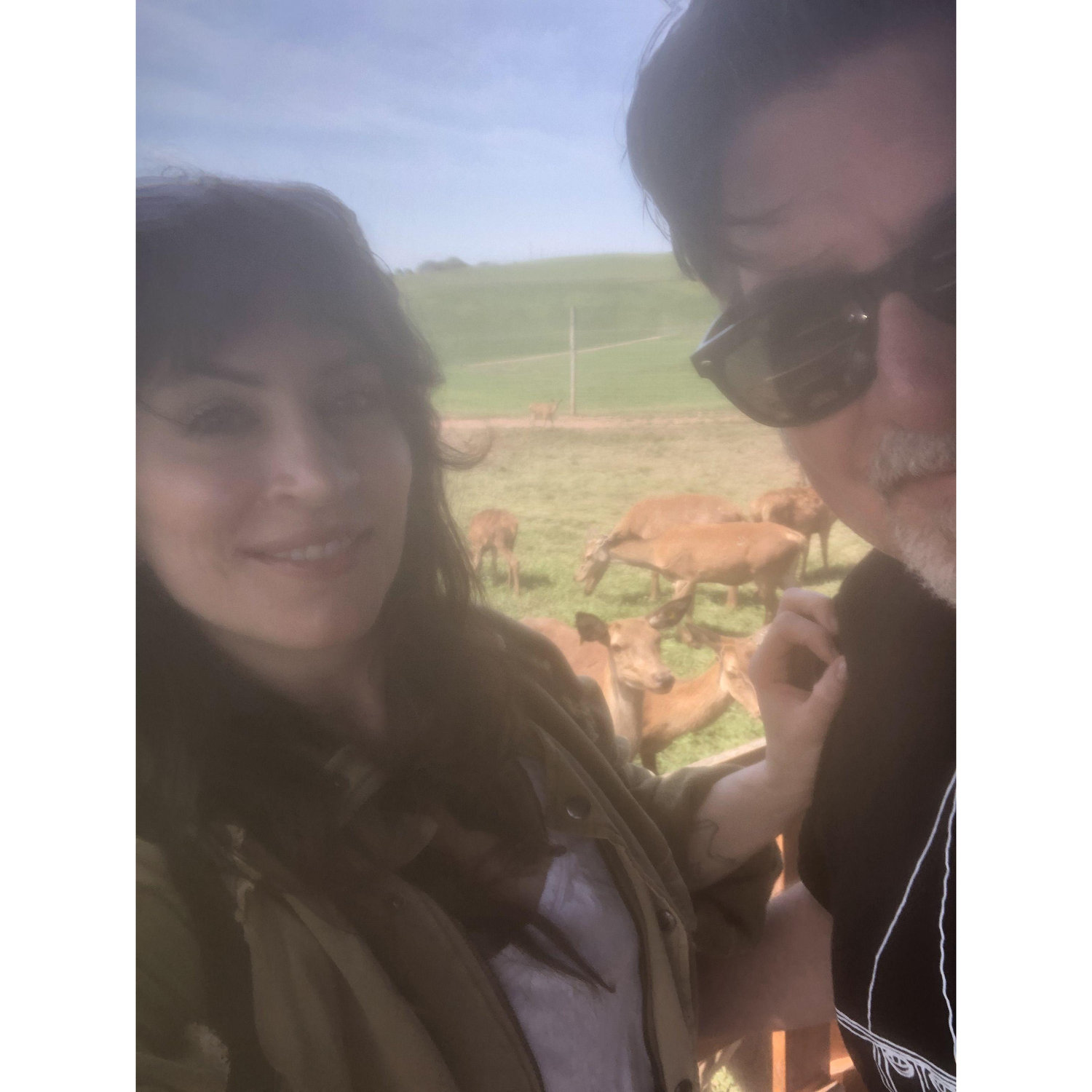 Feeding the deer. Engagement Trip in Ringtown, August 2023