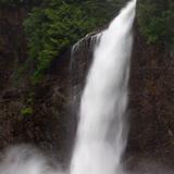 Franklin Falls (Easy Hike)