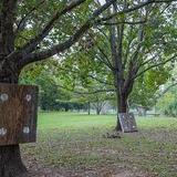 Hatchet Throwing
