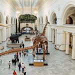 Field Museum