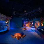 North Carolina Aquarium at Pine Knoll Shores