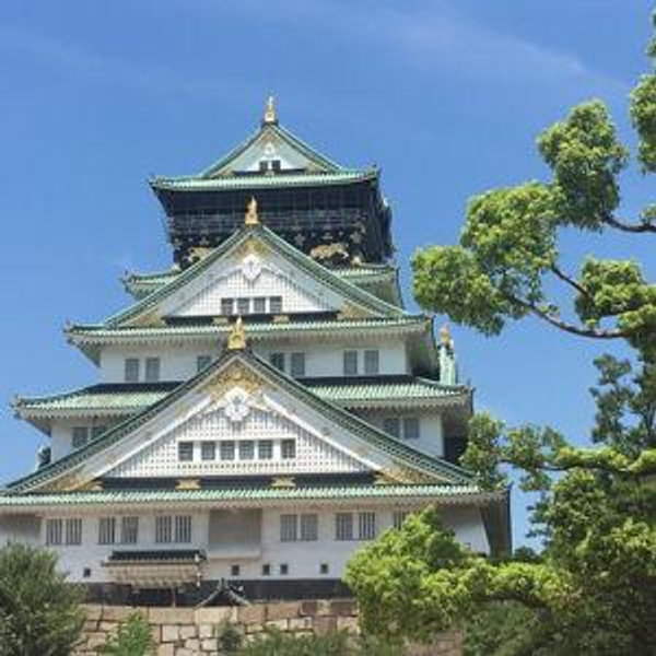 Visit a Preserved Castle in Osaka