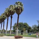 Ruth Hardy Public Park