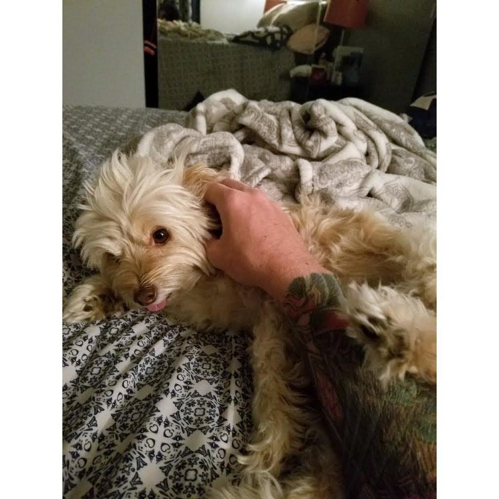our son