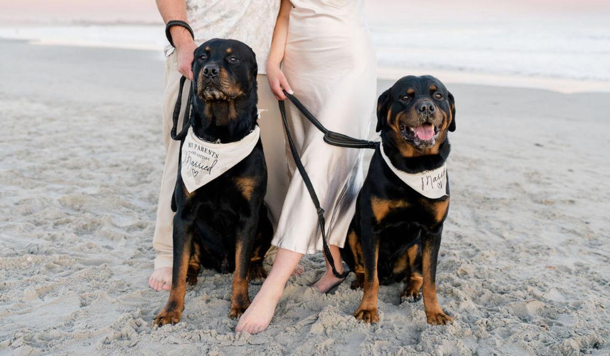 The Wedding Website of Megan Andrews and Justin Tabis