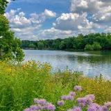Fabyan Forest Preserve