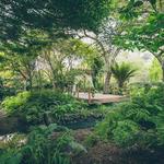 The Secret Gardens