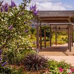 The Gardens at Texas A&M University