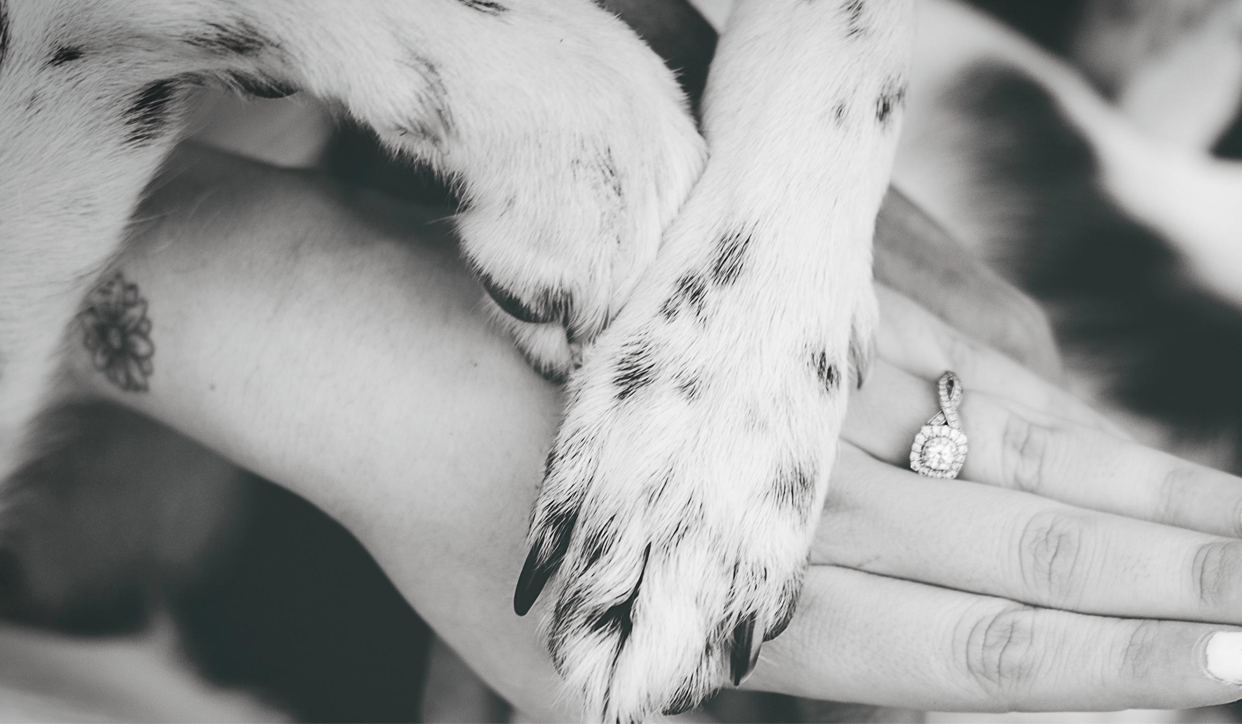 The Wedding Website of Alexis Weaver and Kyle Reese