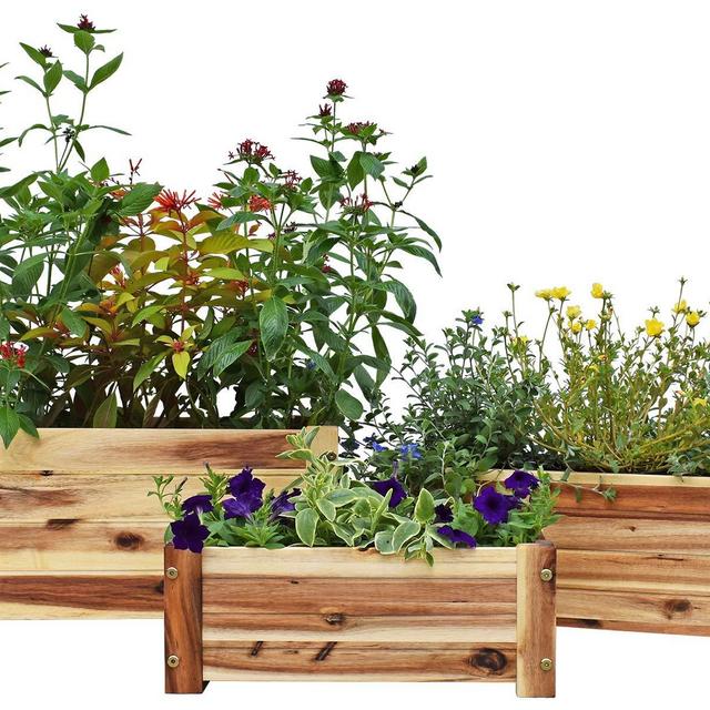 Acacia Wood Rectangle Planter Set of 3