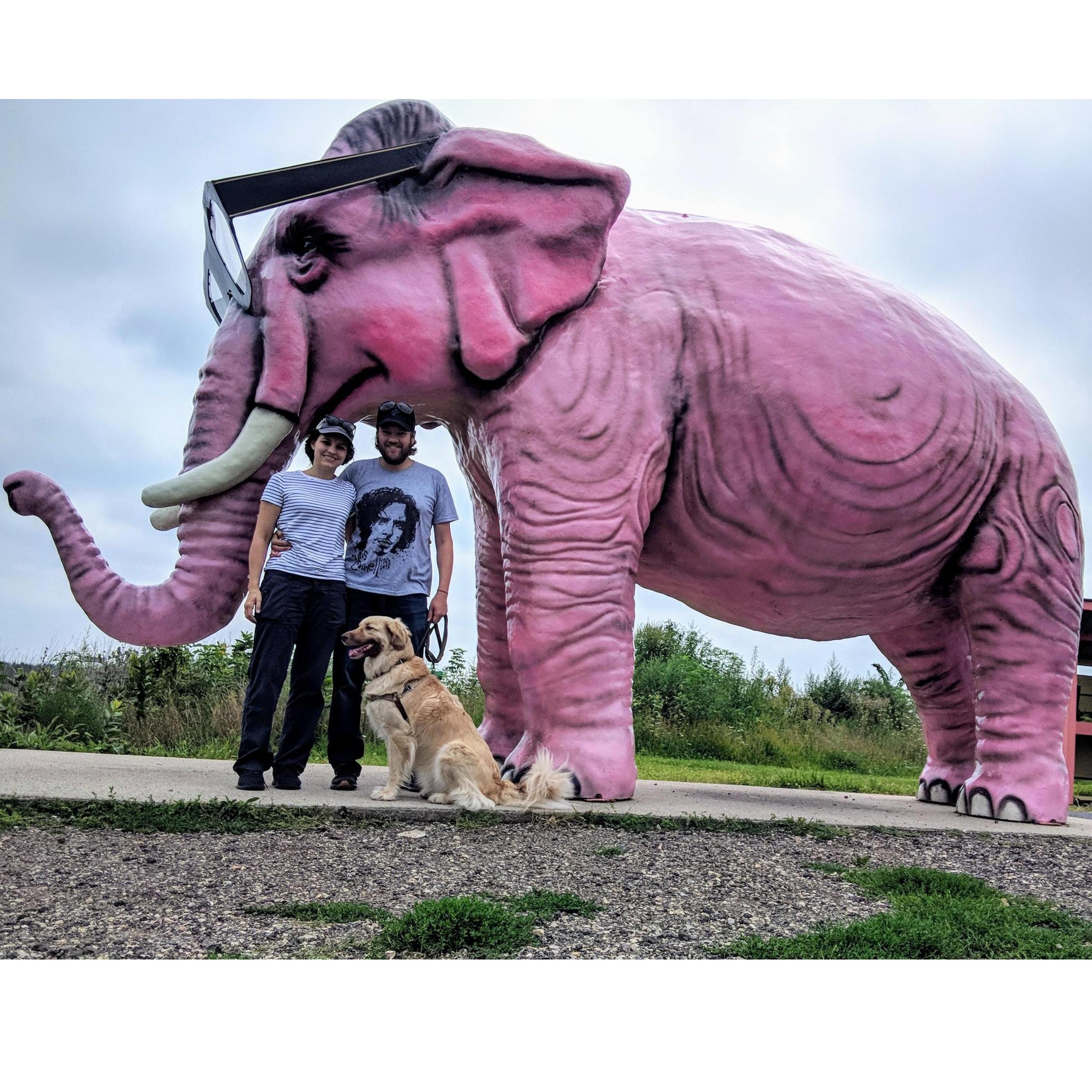 Just making sure Airie gets to know as many pink elephants as possible.