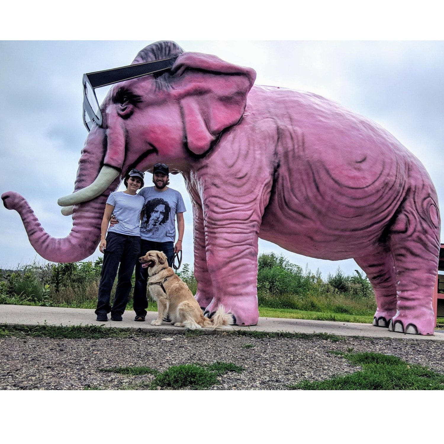 Just making sure Airie gets to know as many pink elephants as possible.