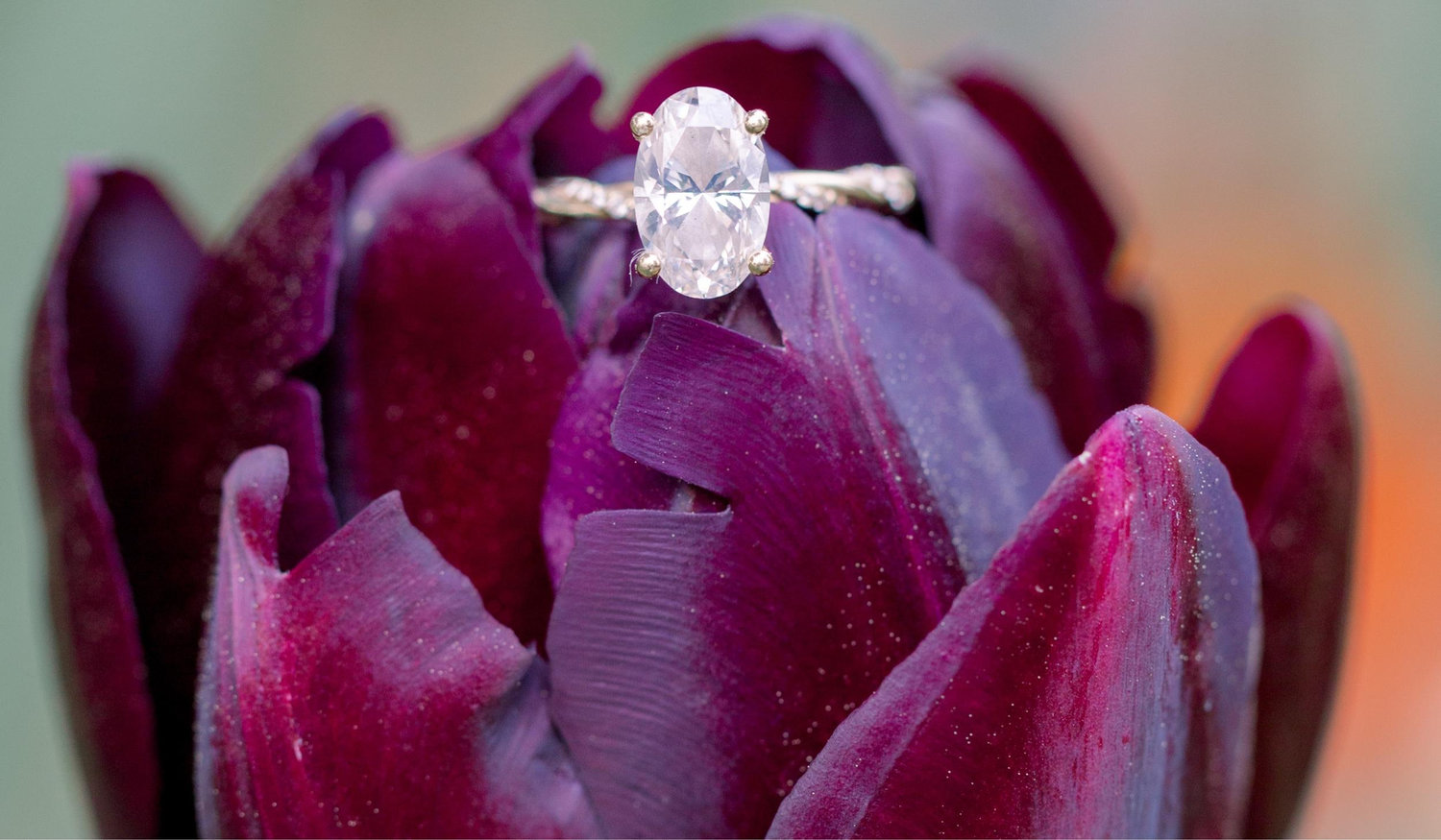 The Wedding Website of Rachel Gillman and Arthur Siler