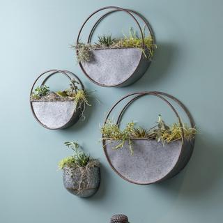 Sophie Planters, Set of 3