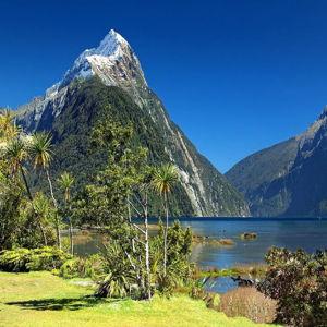 New Zealand Honeymoon
