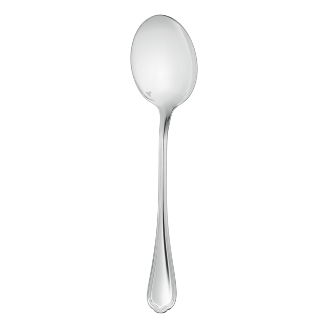 Silver-Plated Salad Serving Spoon Spatours