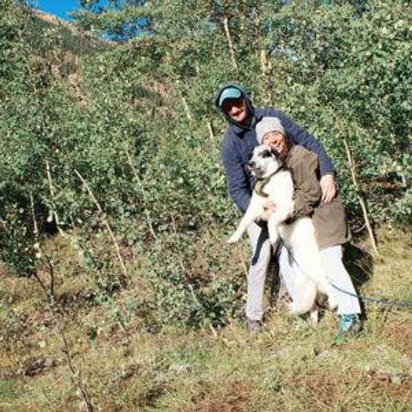 Machu Picchu Stay