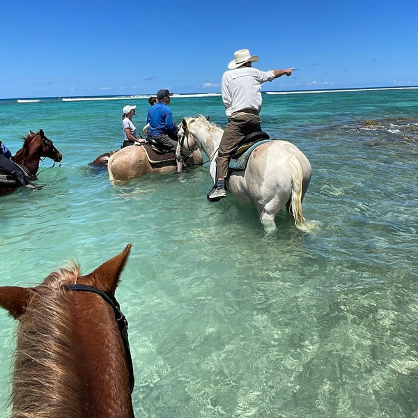 Our honeymoon