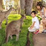 San Diego Zoo