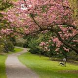 Washington Park Arboretum