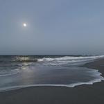 Enjoy the Beach!