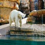 San Diego Zoo