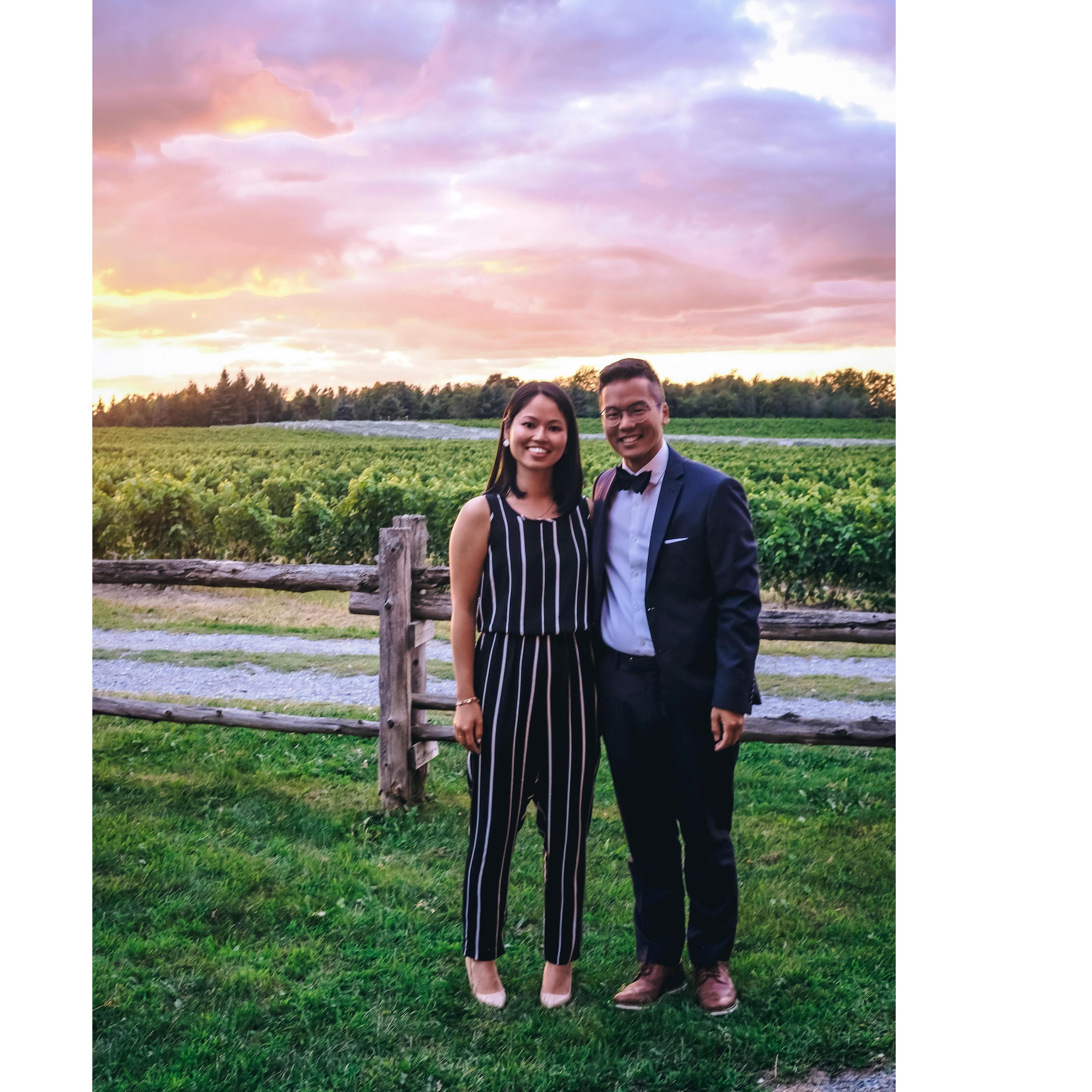 Vignoble de l'Orpailleur, 2019