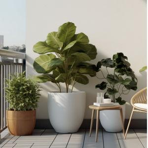 Potted Plant