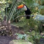 San Diego Zoo