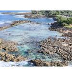 Sharks Cove Snorkeling