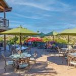 Turtle Rock Ridge Vineyard Winery