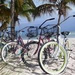 Wecycle - Bicycle Rentals