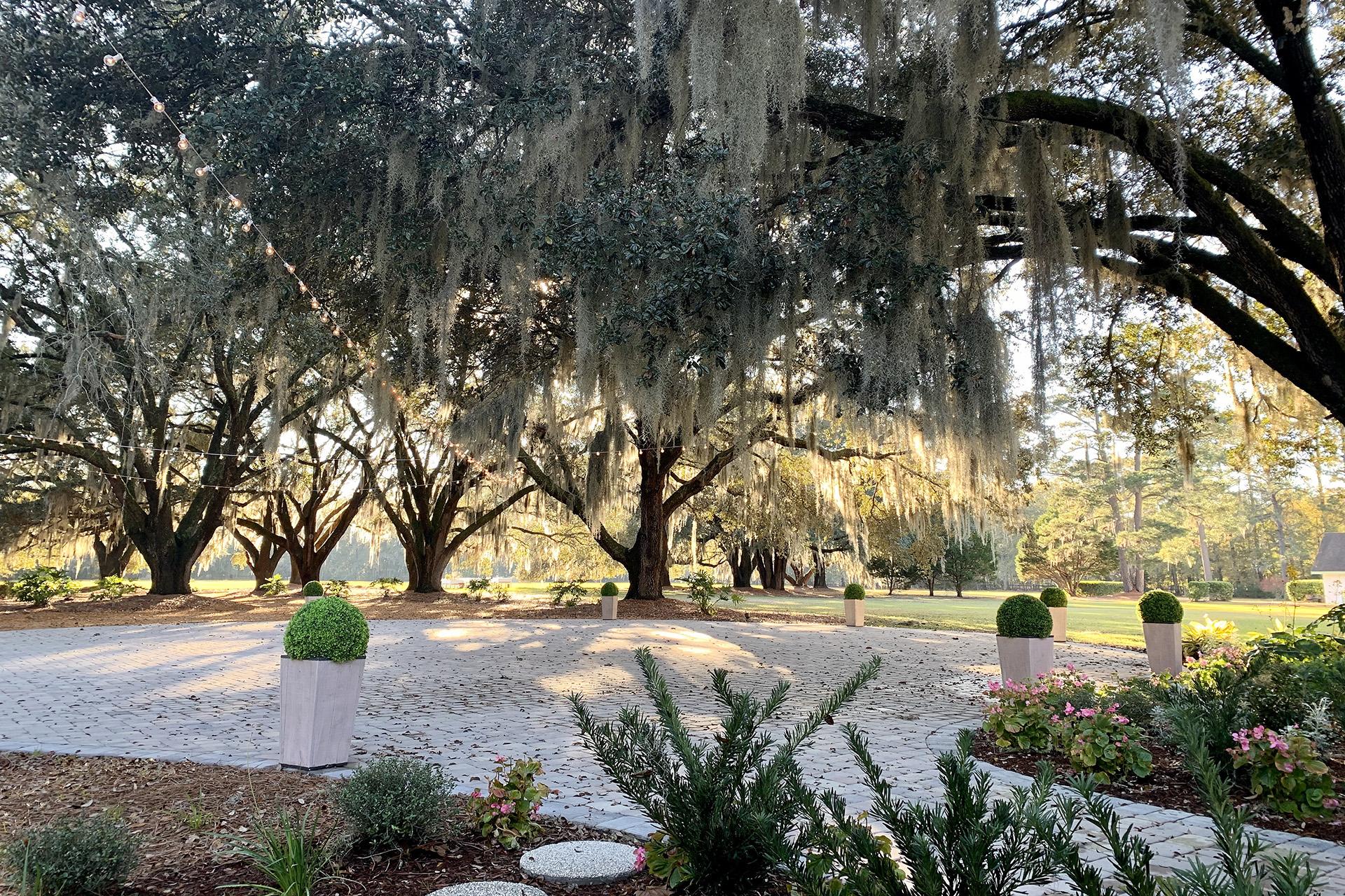 The Wedding Website of Sammy Gilbert and Tyler McCallin