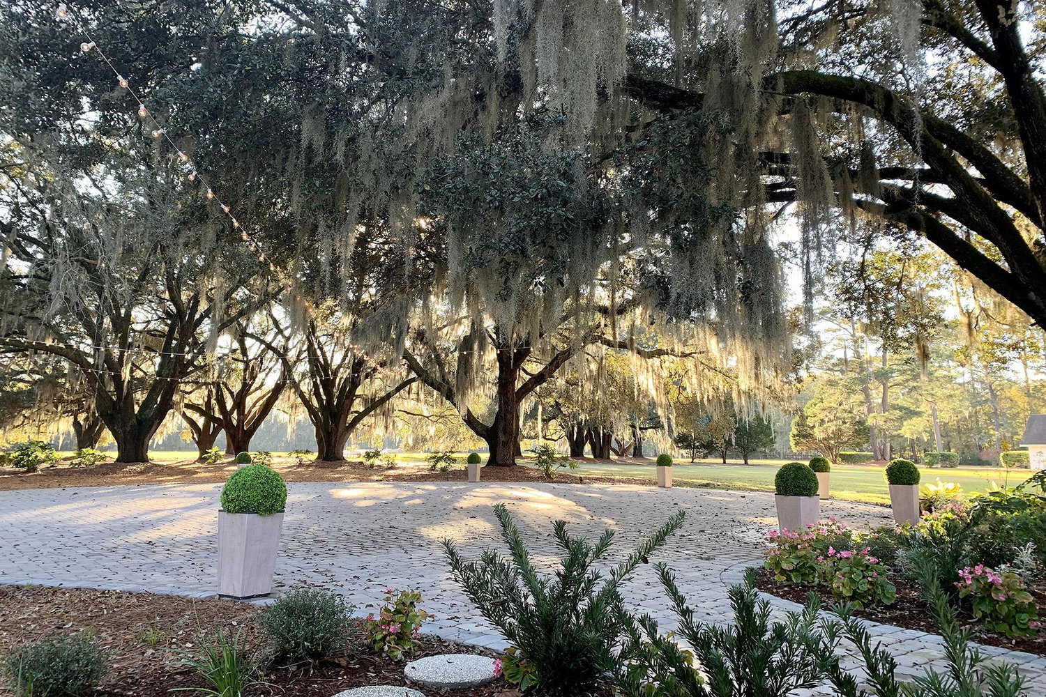 The Wedding Website of Sammy Gilbert and Tyler McCallin