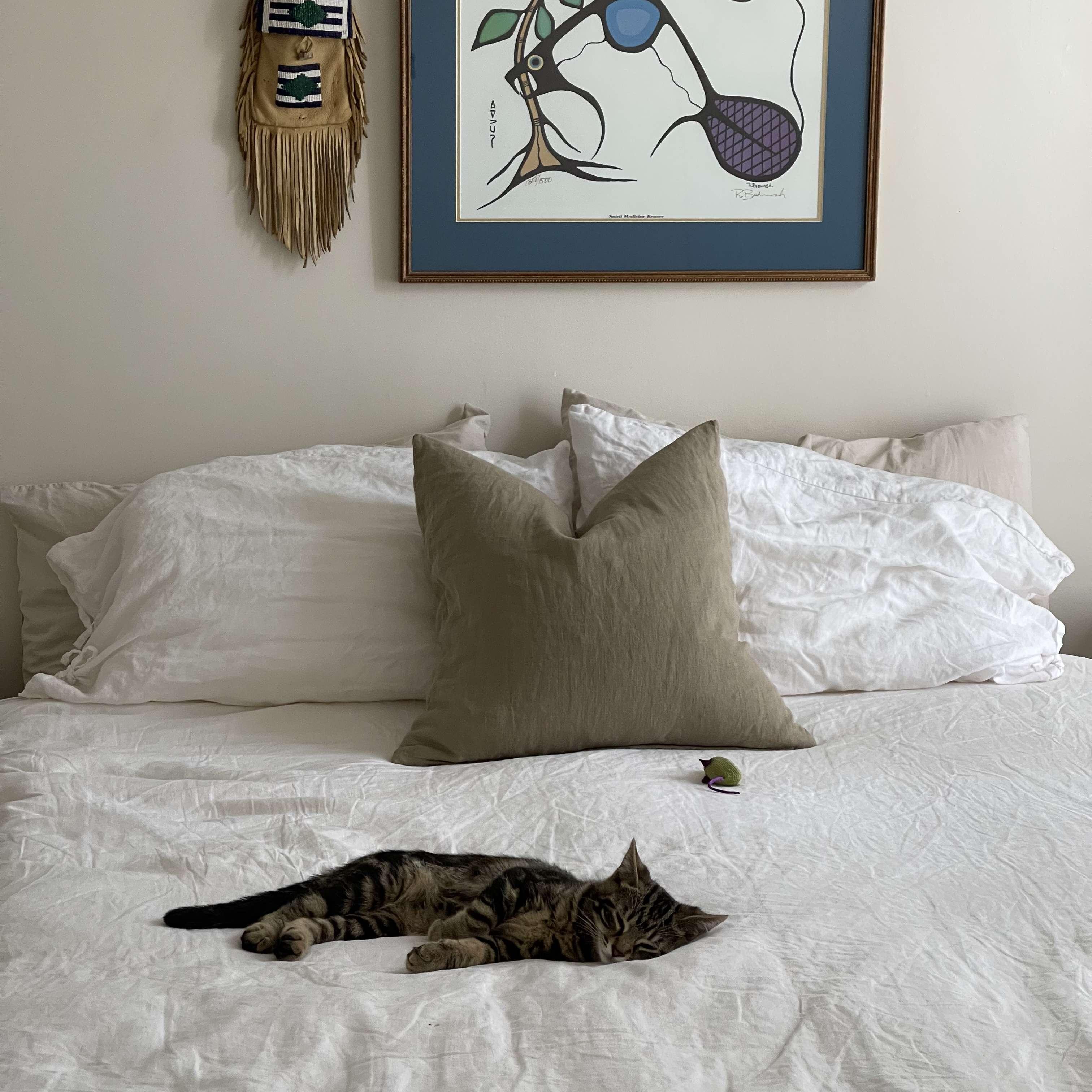 Tiny Tob, big bed.