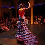 Museo del Baile Flamenco (Flamenco Dance Museum)